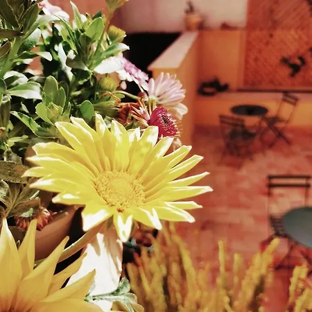 Carra Manna Gasthuis